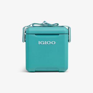 Tag Along Too Remix Cooler